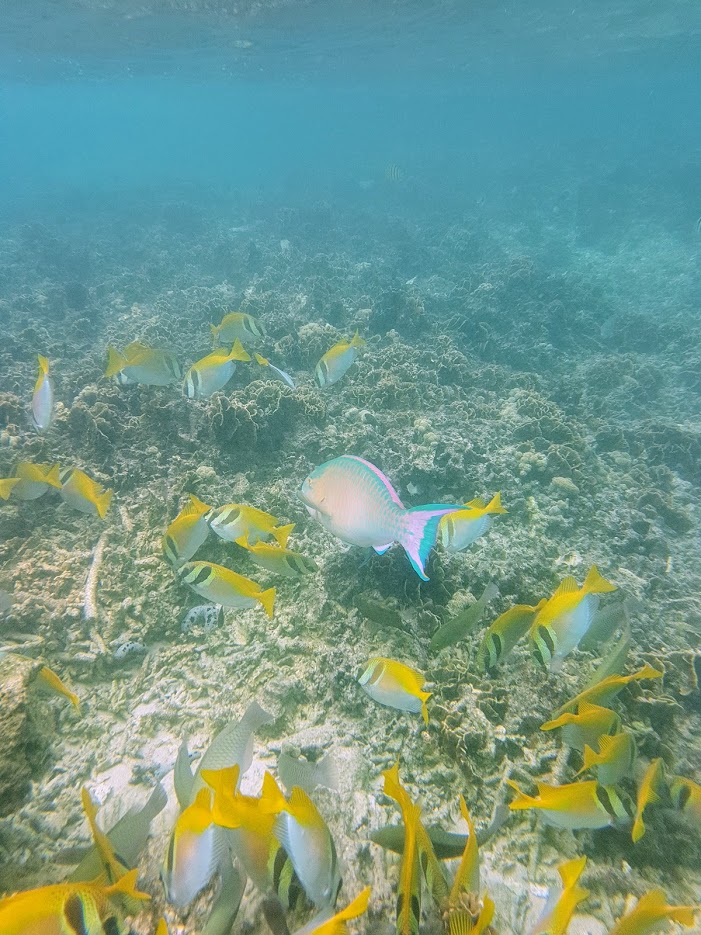 Дождливый июль в солнечном Таиланде