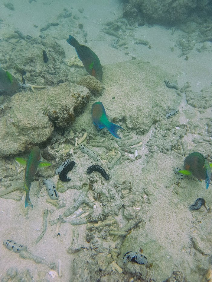 Дождливый июль в солнечном Таиланде