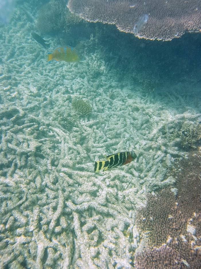 Дождливый июль в солнечном Таиланде