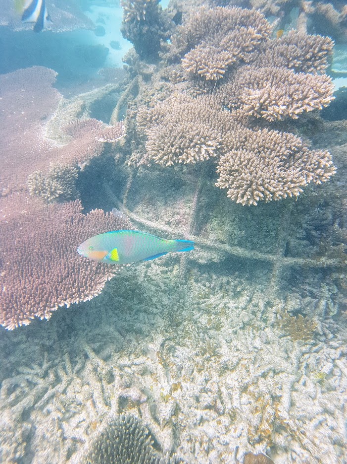 Дождливый июль в солнечном Таиланде