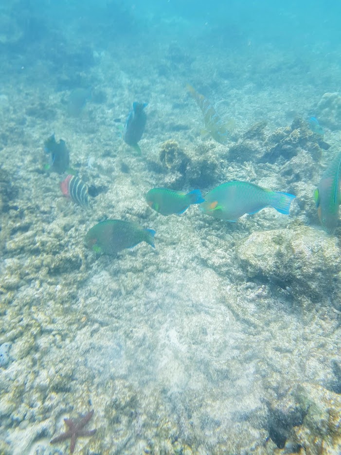 Дождливый июль в солнечном Таиланде