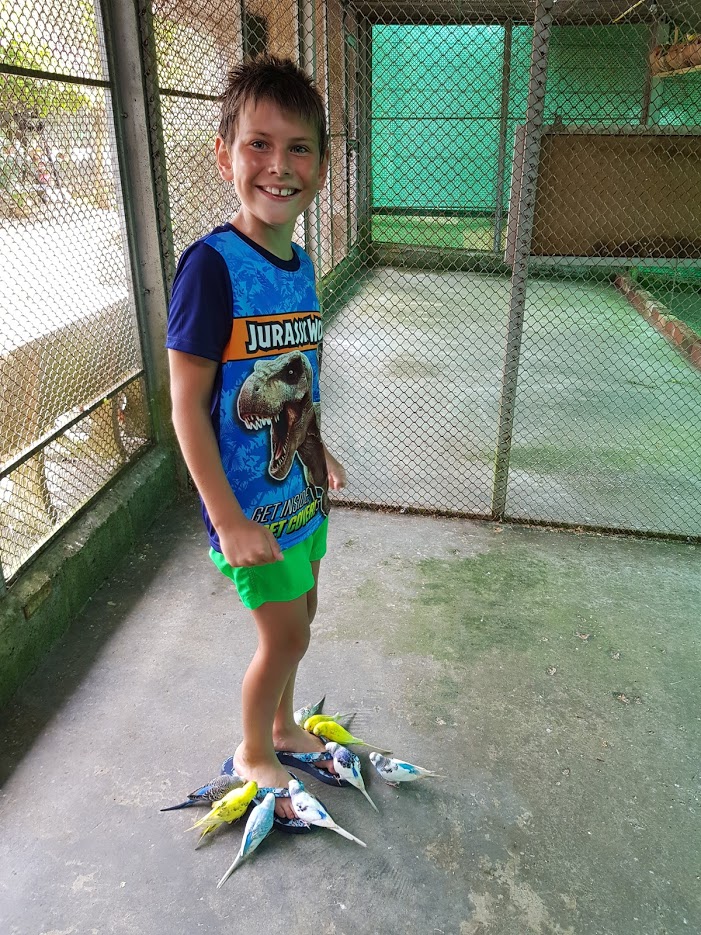 Дождливый июль в солнечном Таиланде