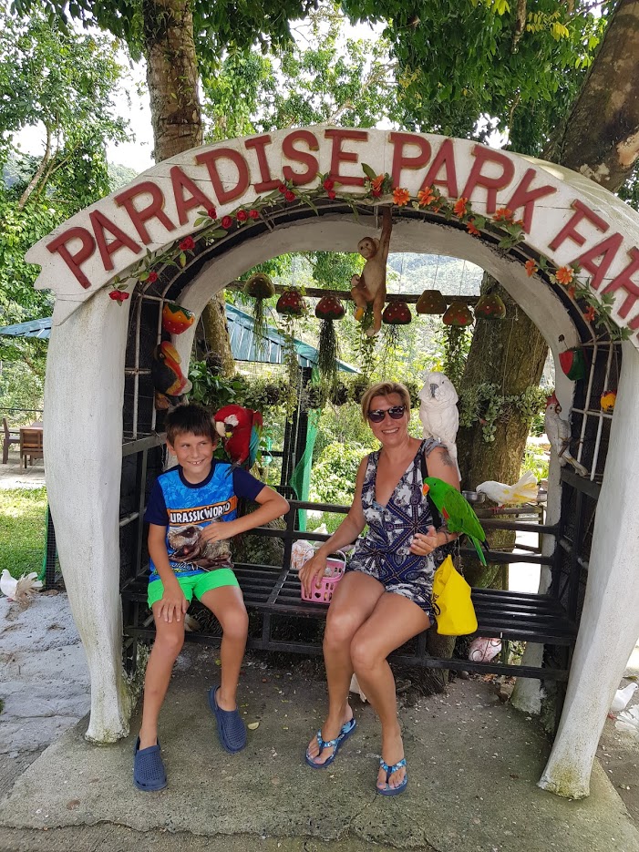 Дождливый июль в солнечном Таиланде