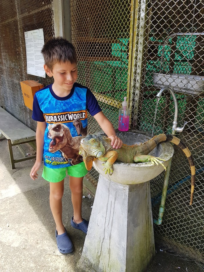 Дождливый июль в солнечном Таиланде