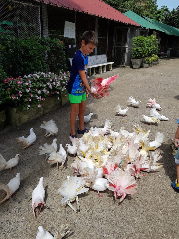 Дождливый июль в солнечном Таиланде