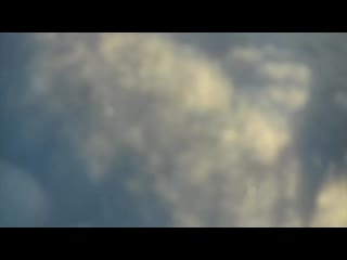 Задержание начальника ГИБДД с тушей кабана в Сузуне