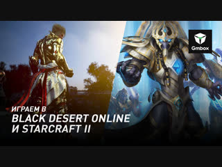 Святослав Бочаров играет в Black Desert Online и StarCraft 2