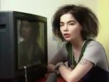 Björk talking about her TV is pure ASMR