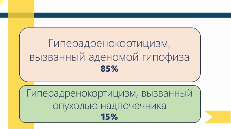 Лечение синдрома Кушинга собак