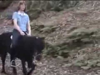 Thank pony stallions fucking women what from Are pony stallions fucking women opinion you