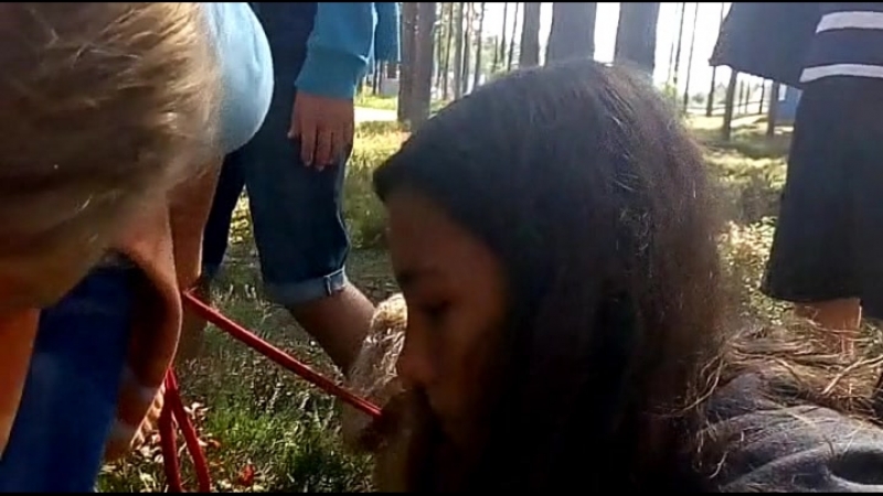 едим чернику