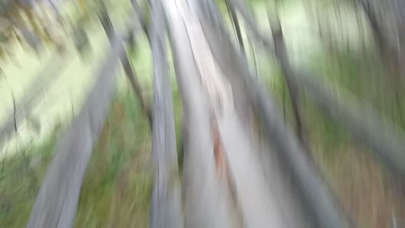 VID_20171008_175642.mp4