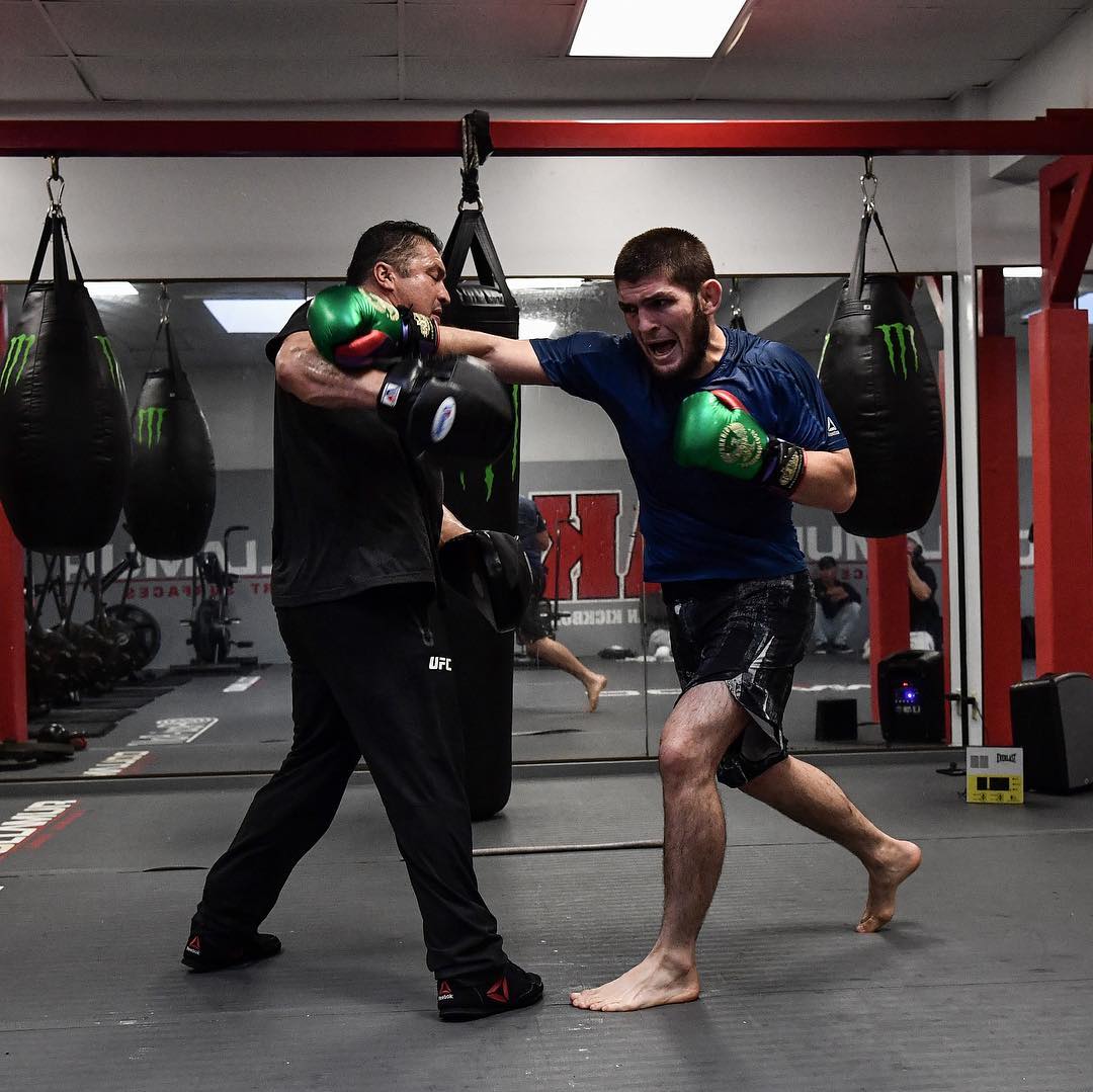 khabib training