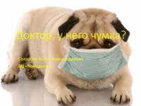 Доктор, у него чумка