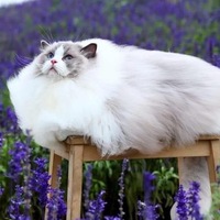 Анастасия Котельникова | Уральск