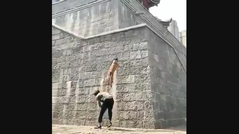 Из Жизни Ногайцев