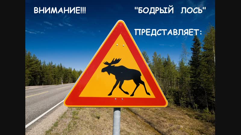 Бодрый Лось грузоперевозки