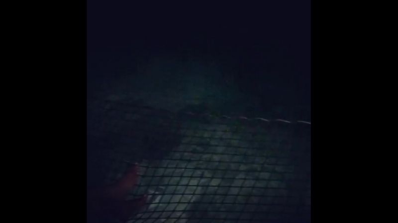 Сурбхи Чандна