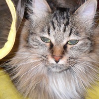 Юлия Федина | Южно-Сахалинск