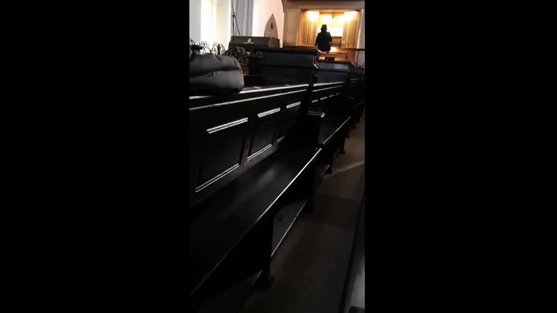 VID_20190219_140939.mp4