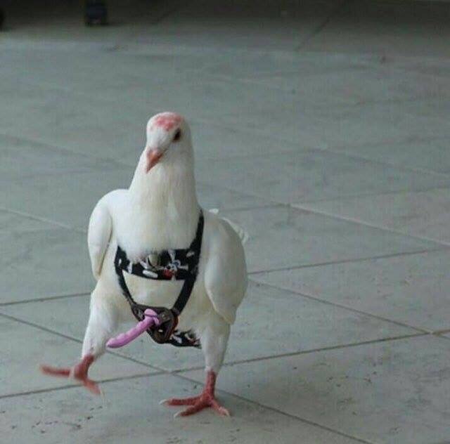 _OckXYsAxRI.jpg