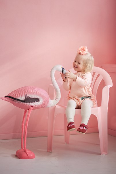 Фотограф Архангельская Наташа: BIRD Photostudio