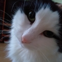 Ульяна Гладышева | Ломоносов