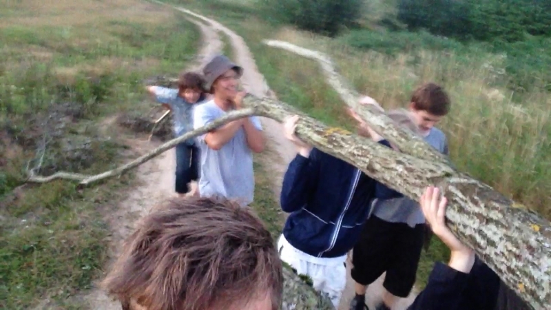 Дрова