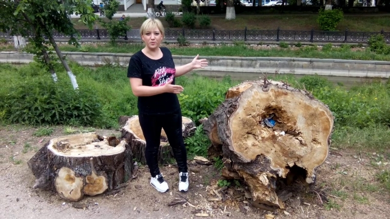Напни
