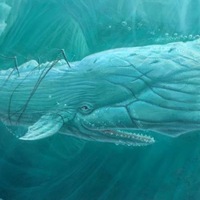 Константин Жалнин | Тольятти