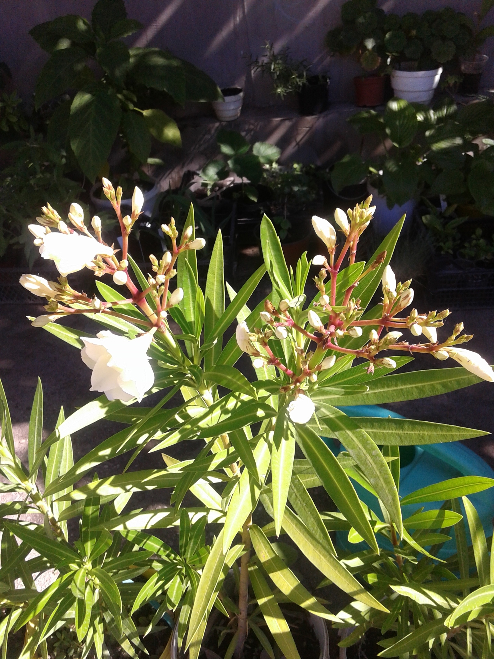 фотография из вКонтакте