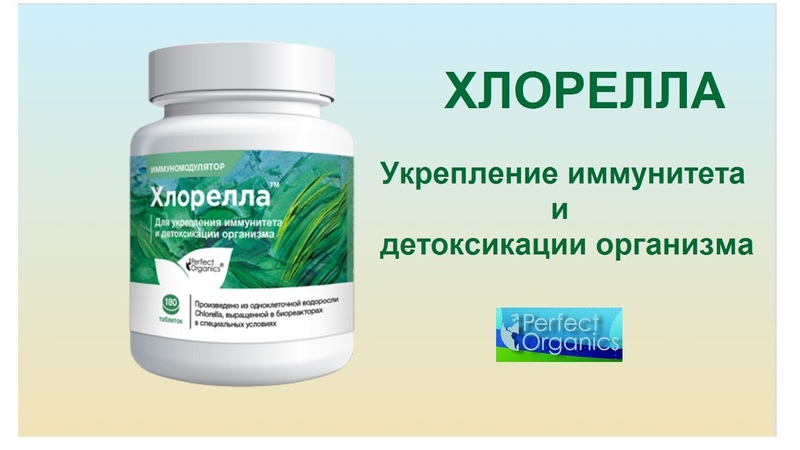ХЛОРЕЛЛА Дергачев Д,С,