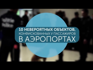 10 невероятных вещей, конфискованных в аэропортах