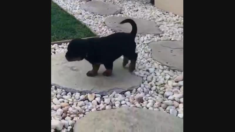 Hmm.. is that fren