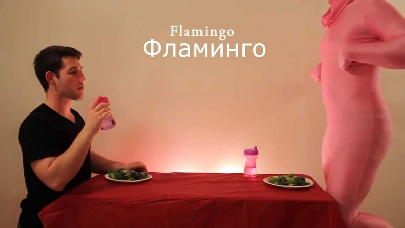 Прикол Как едят животные