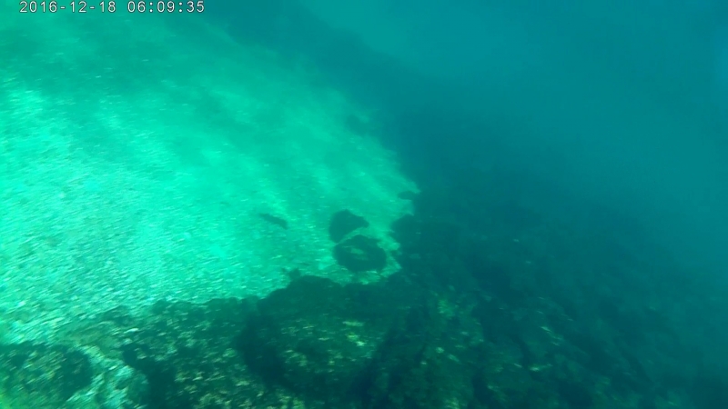 20161218_060925A.mp4