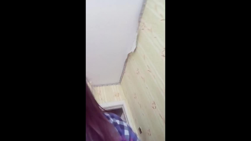 быр пыщ и Лунный кролик