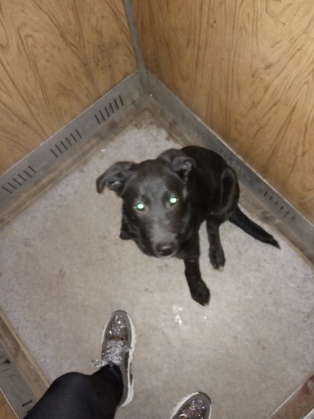 Здравствуйте! Очень нужна передержка ( или помочь советом) щ