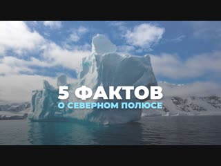 5 фактов о Северном полюсе