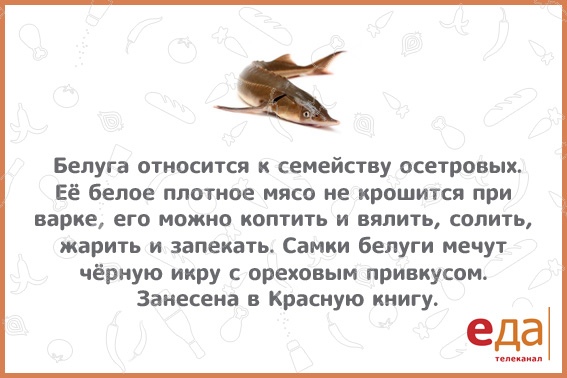 #интересно_еда