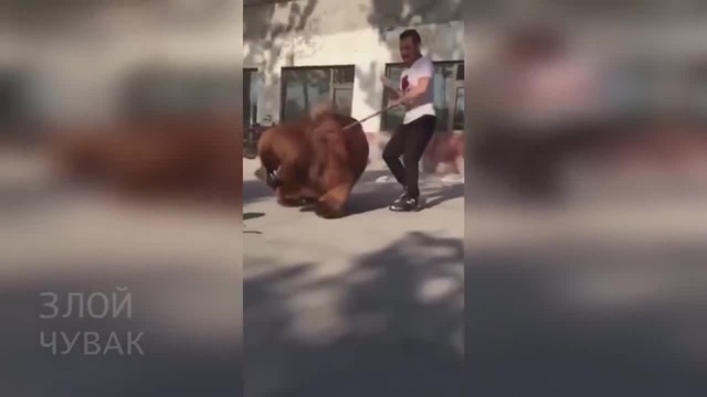 Заерь