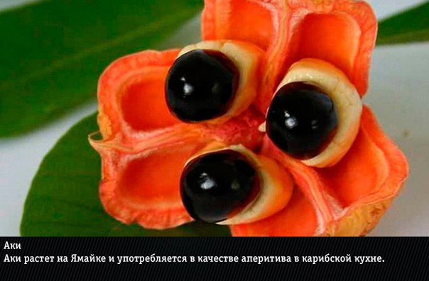 10 самых экзотических фруктов: фото и названия Нас уже не удивишь маракуйей, дурианом и личи. Сегодня мы узнаем о действительно редких экзотических фруктах, которые вы вряд ли пробовали хоть раз