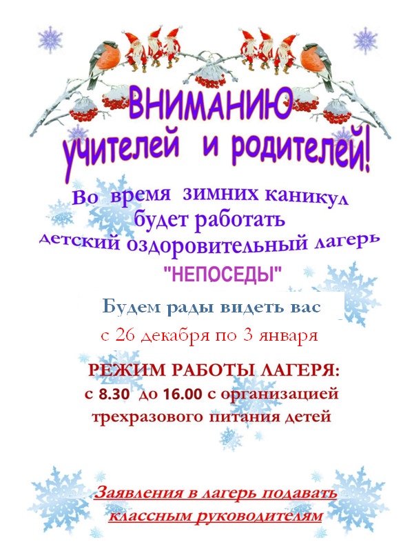 Детский оздоровительный лагерь "Непоседы"
