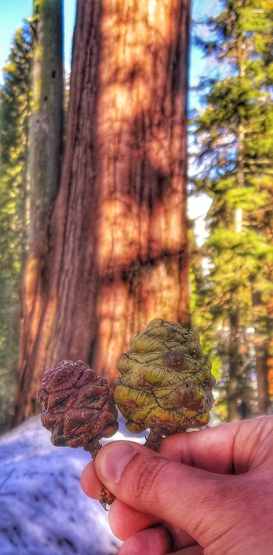 Ударим автопробегом по дикому западу! USA 2019 7-25 марта.