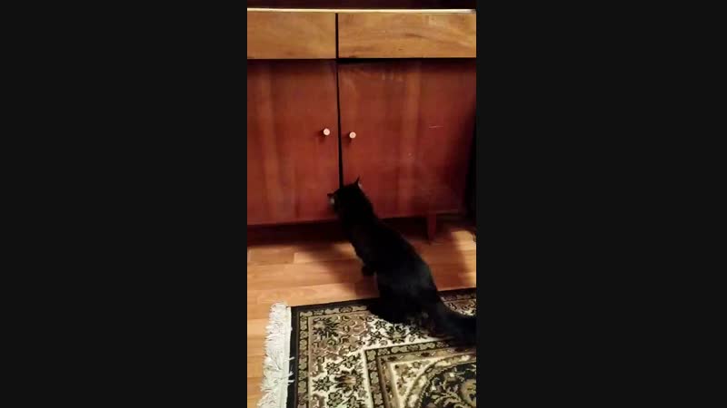 VID_20181214_215930.mp4