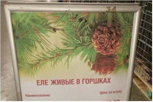 угарные фоточки