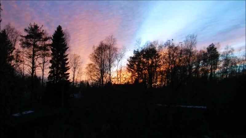 АВТОШОК тарелки