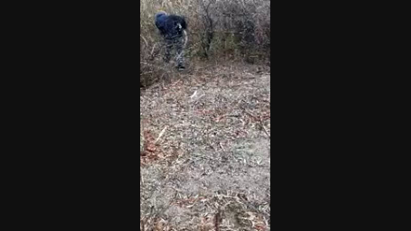 идем на зайца мутанта