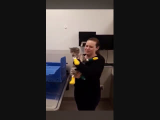Трогательное воссоединение хозяйки и кота после пожара