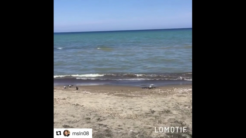 Ordu💞Karadeniz